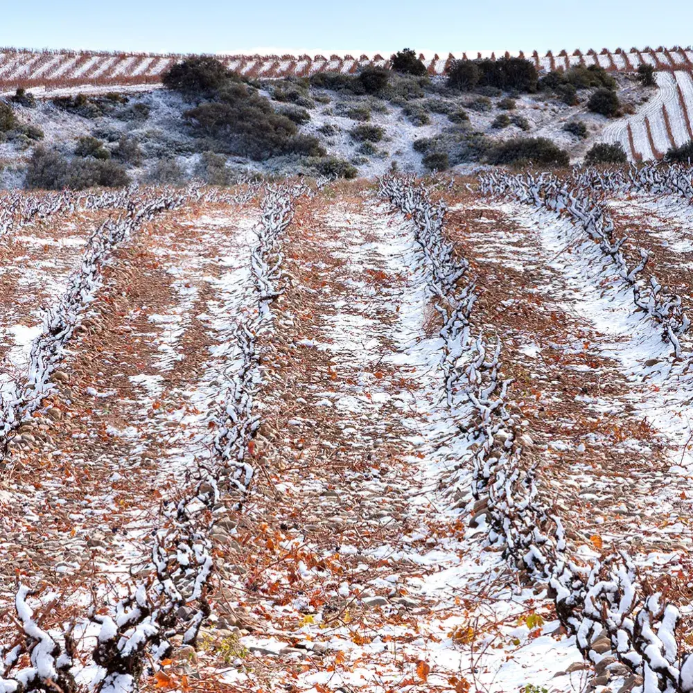 Descubre la finca